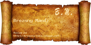Brezsny Manó névjegykártya